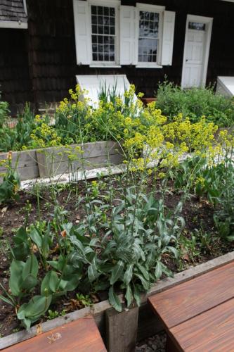 Wyckoff_Exteriors_Garden_005